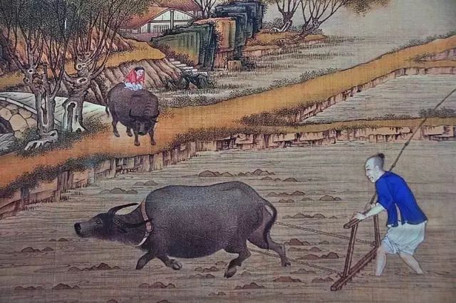 我们未来的婚姻制度真的会消失吗,婚姻制度会不会在未来走向瓦解