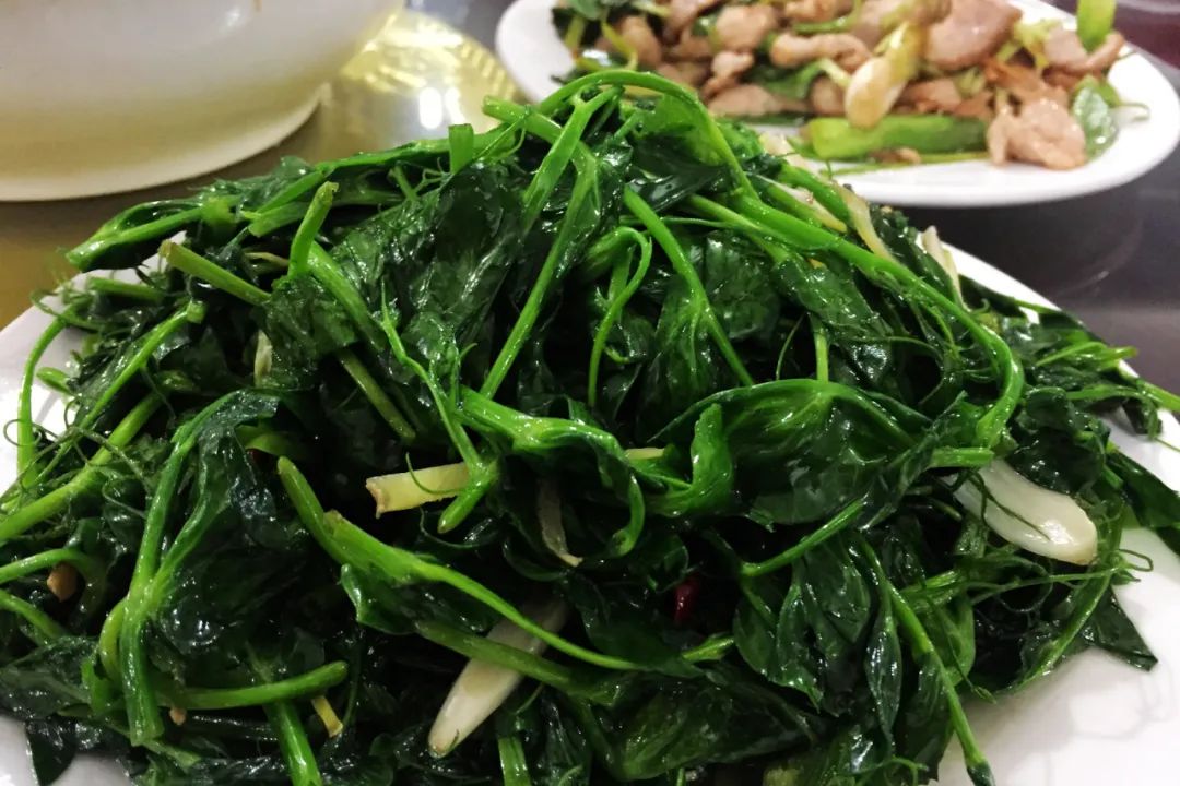 东川红土地在哪里观赏最好,昆明东川红土地攻略