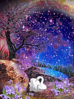 几十张绝美的图,绝美花的倒影100张图片