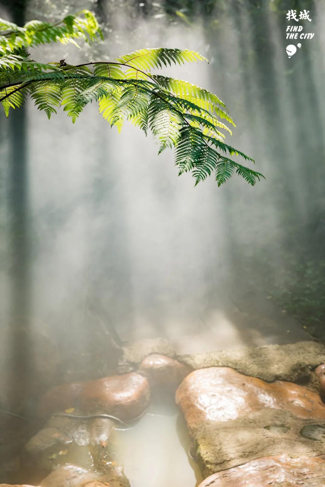 南宁人去隆安玩,南宁人去柳州玩