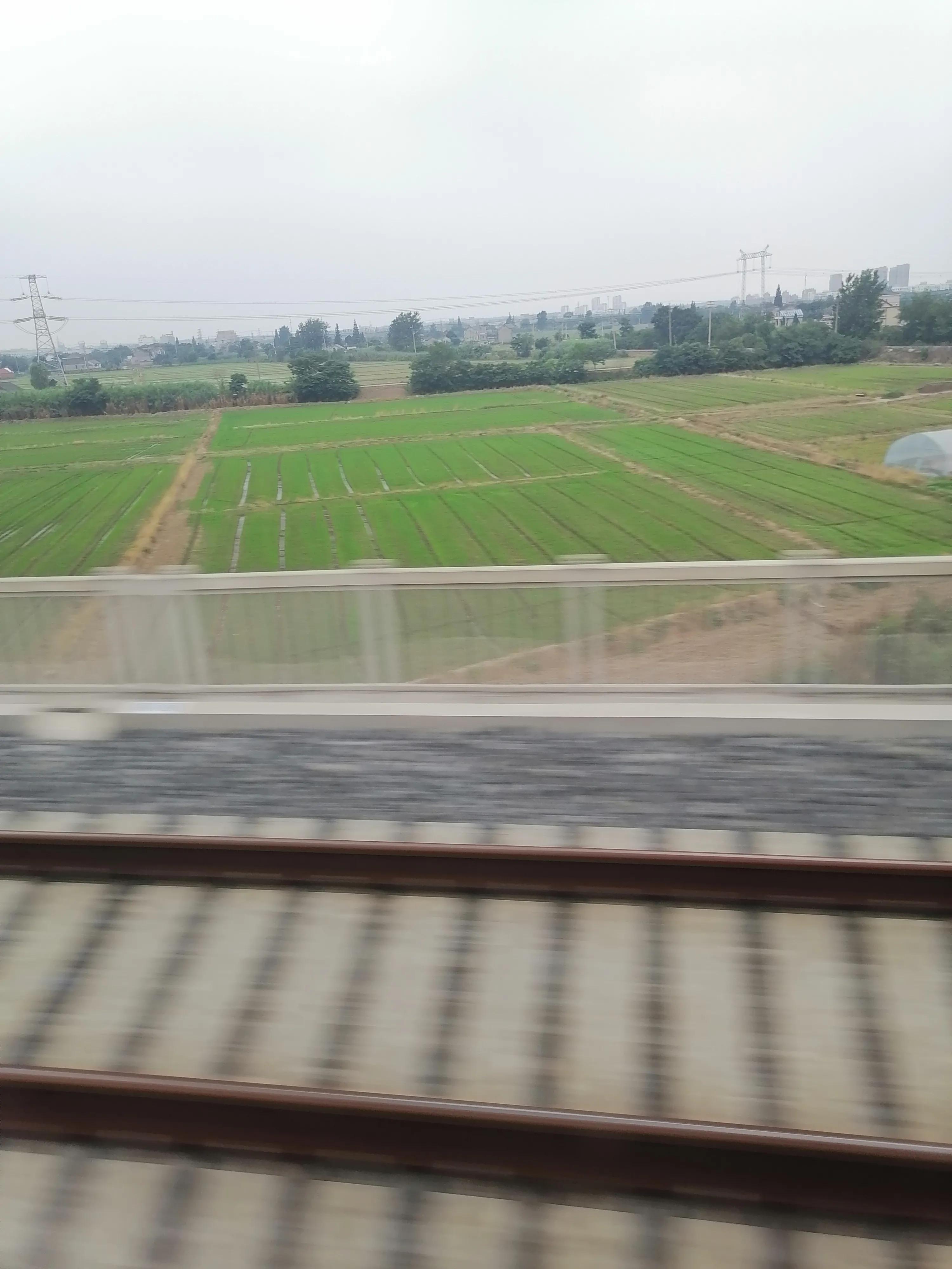 水稻缺钾性赤枯病用什么农药,水稻齐穗期赤枯病用什么药