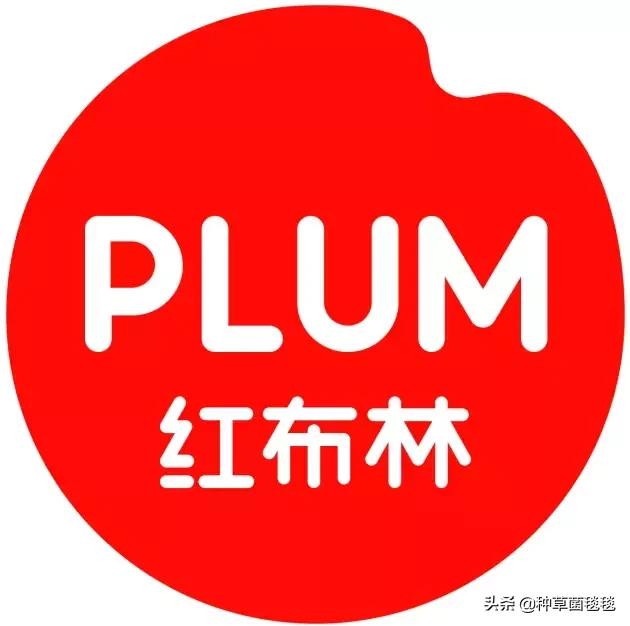 jennie杨幂包包,jennie杨幂宋茜