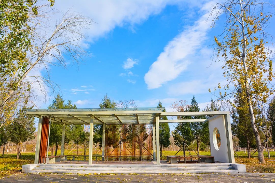 北京新开40个公园在哪里,北京十佳公园