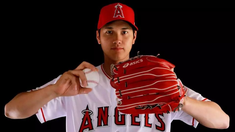 鏃ユ湰妫掔悆杞細鍒跺害,妫掔悆鑱旂洘杞細