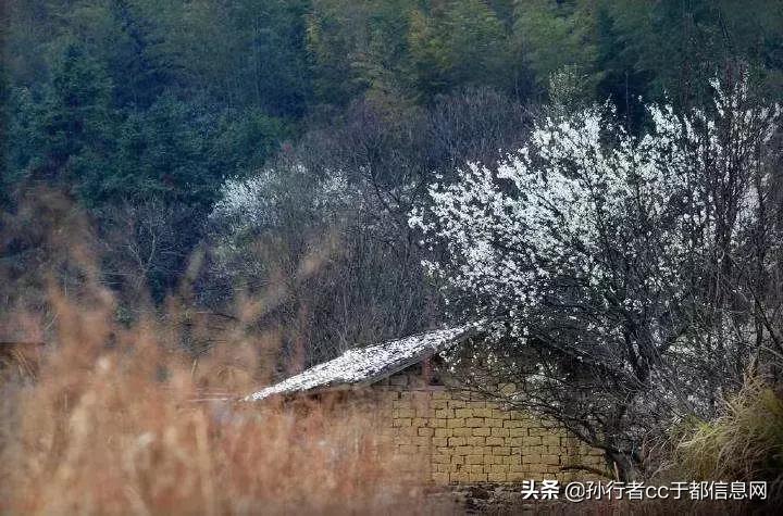 罗坳镇河坪村兴隆山的传说