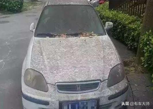 汽车闲置有什么注意事项,汽车一年时间不开注意事项