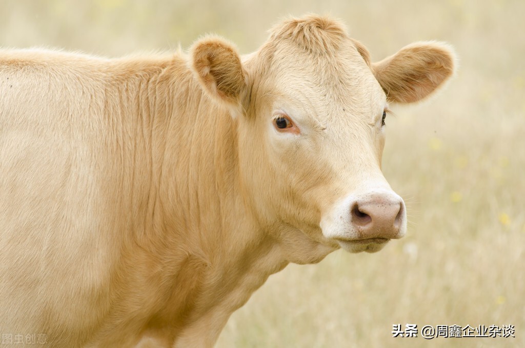 品牌建设和知名度的提升,品牌力建设的原则