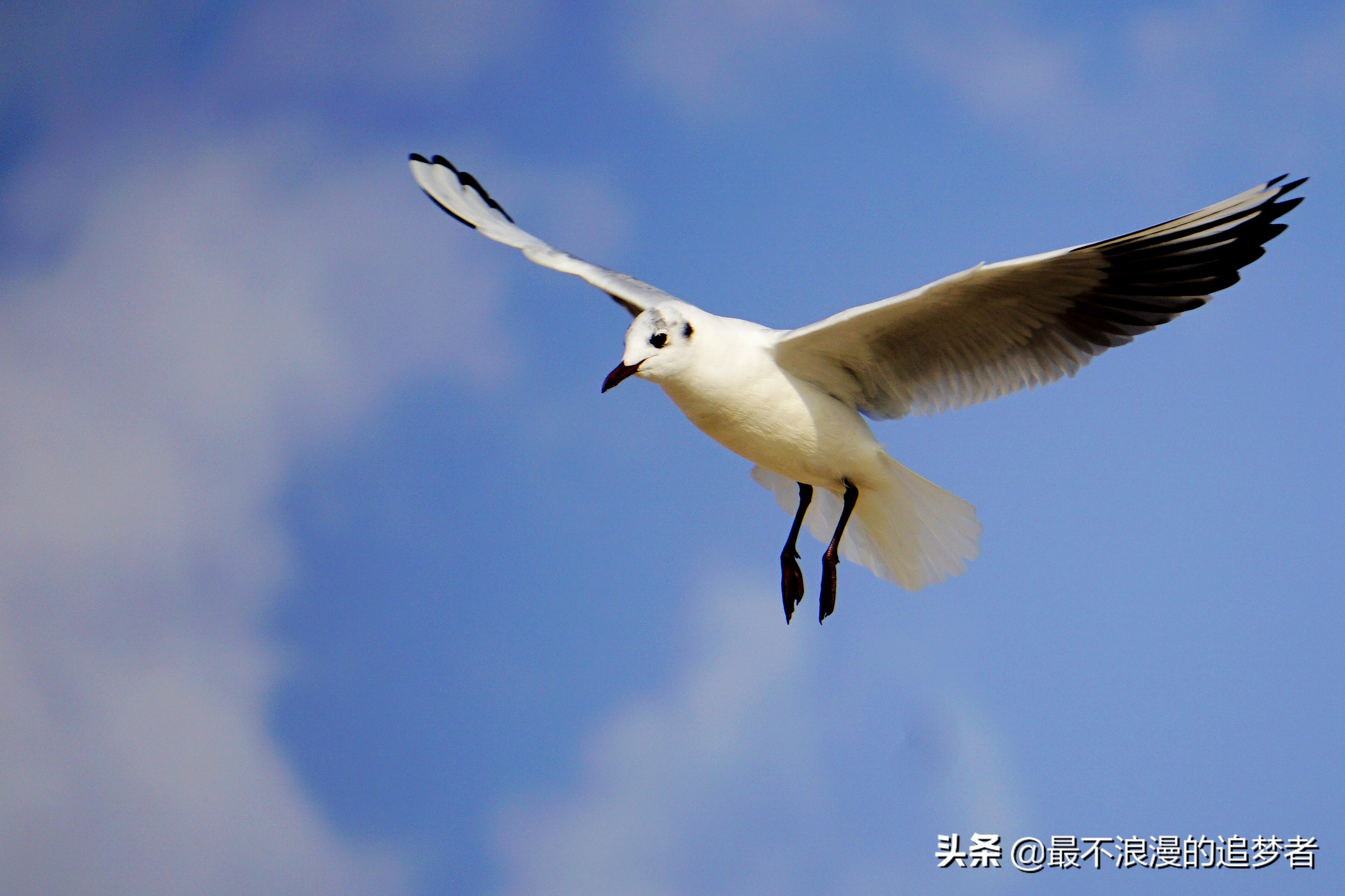 阿联酋迪拜的旅游感想,阿联酋迪拜旅游攻略