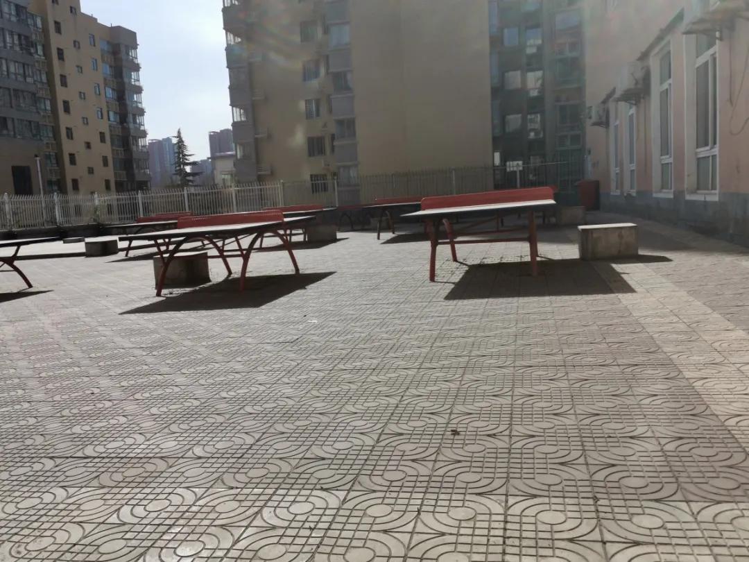 学姐校园采访,学姐探访复旦大学