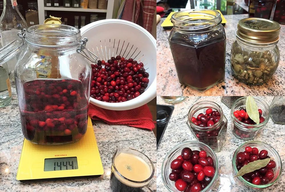 如果气温变冷需要准备什么,温度降到几度花搬到室内