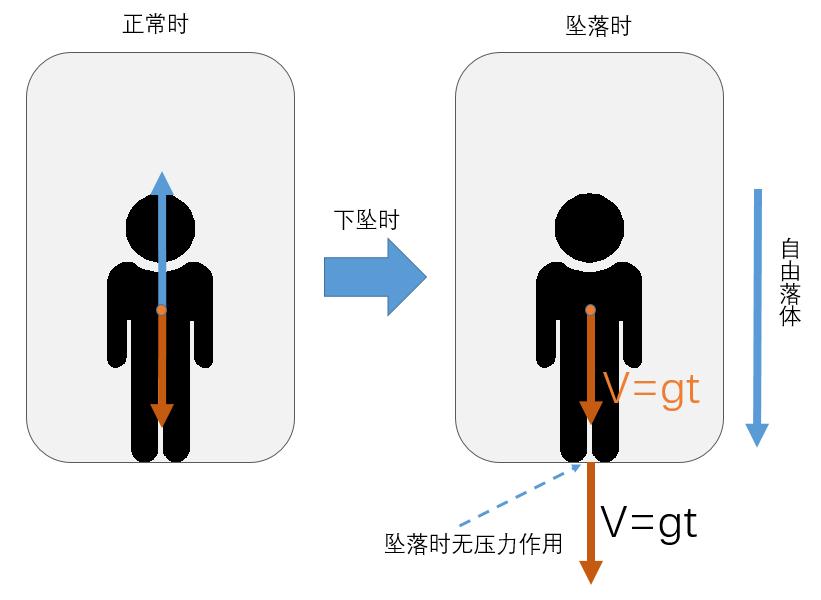 电梯35层下坠女子教科书式自救,电梯坠落跳一下能活命吗
