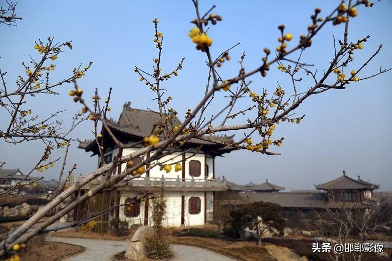 磁县过年去哪里玩,磁县过年好去处