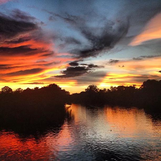 吃19块钱的海鲜自助,深圳133块钱海鲜吃到爽