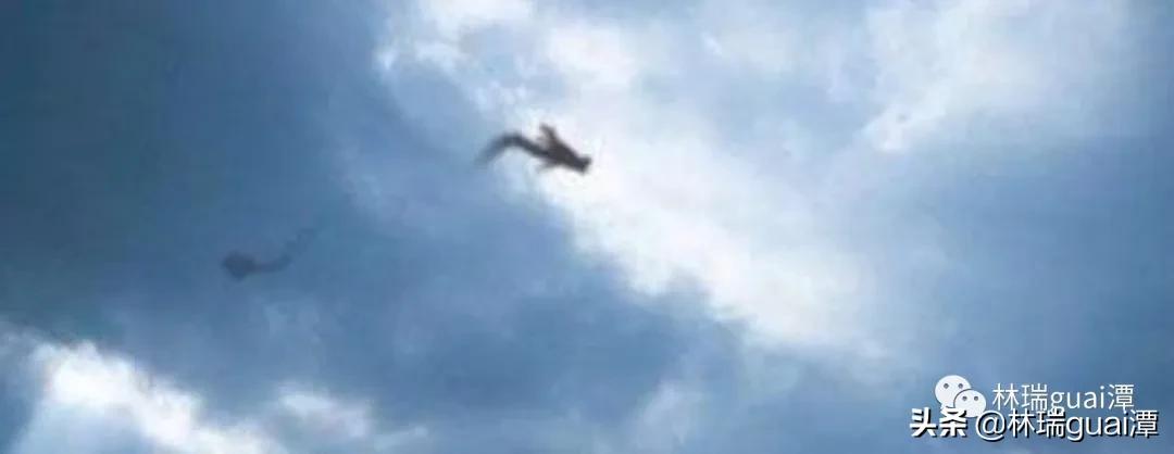 世界上龙真实存在吗,古代龙真实存在吗