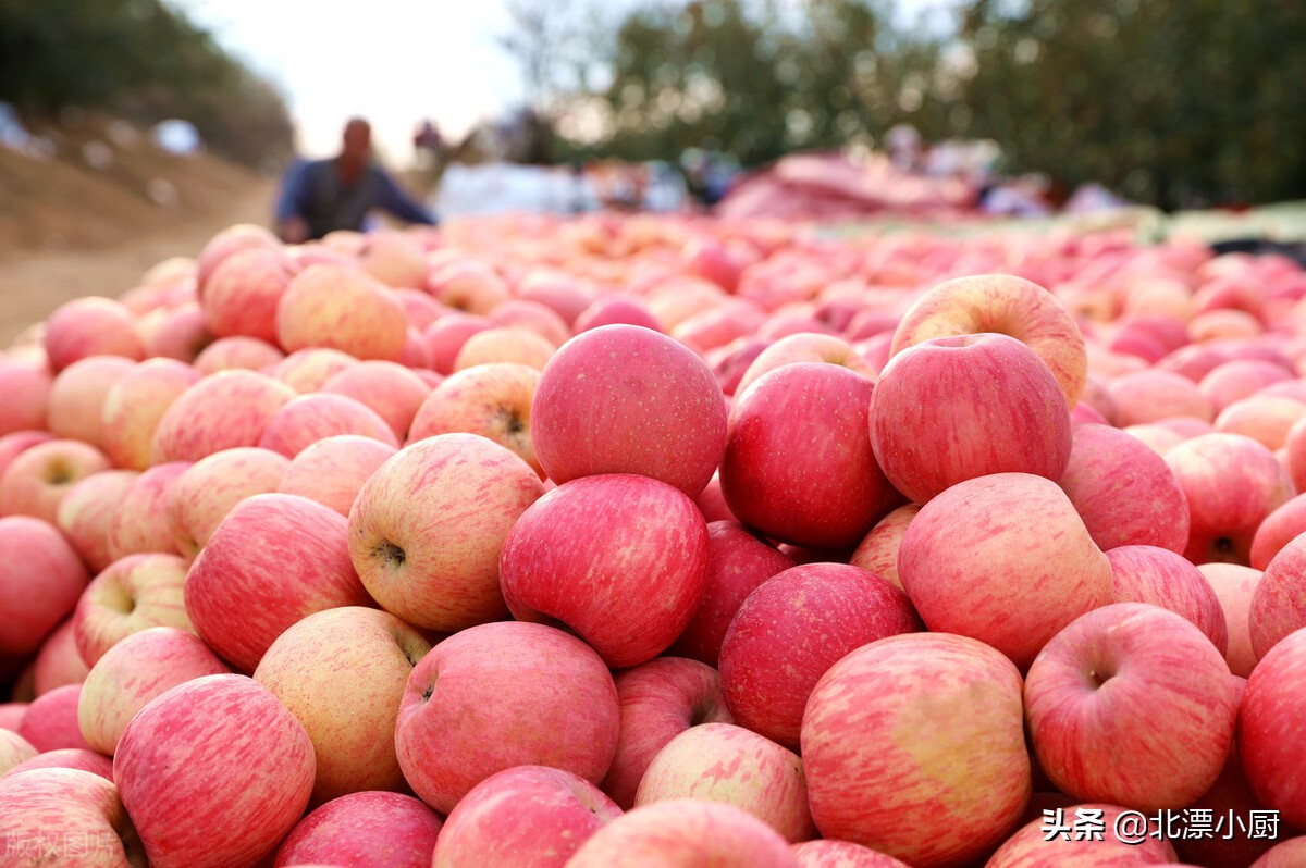 口感最好吃的苹果产地在哪,全国哪里的苹果好吃价格便宜