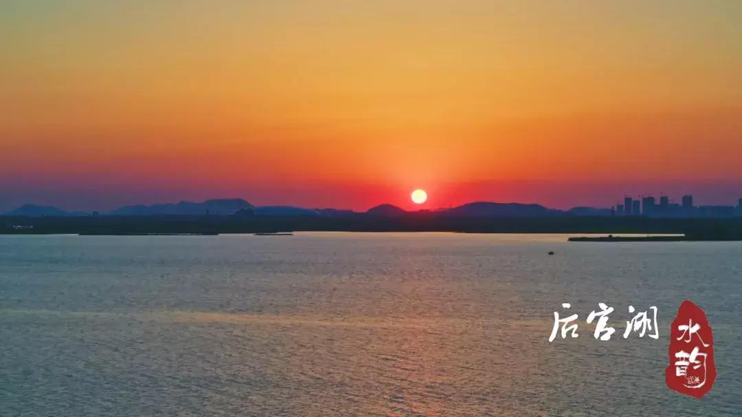 武汉蔡甸后官湖湿地公园,武汉后官湖湿地公园门票