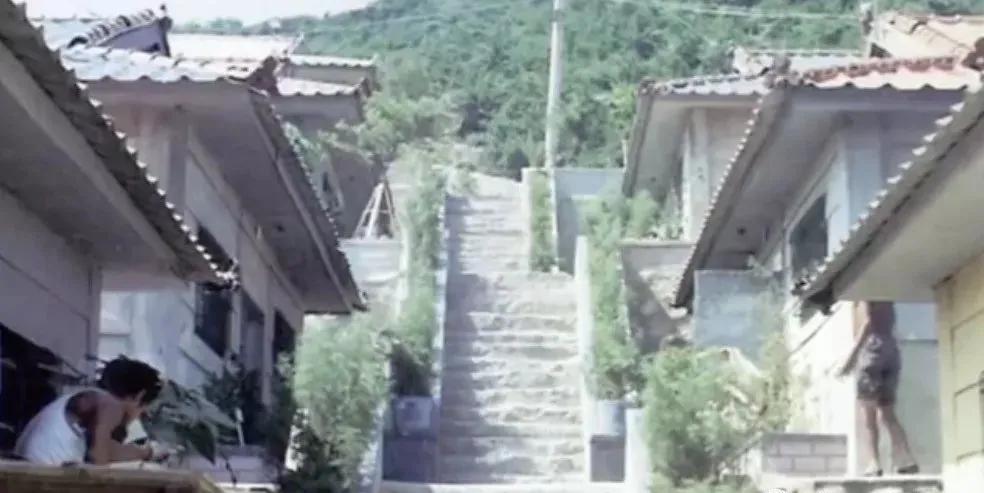 超过500个孩子死在了这里！——“兄弟之家福利院”