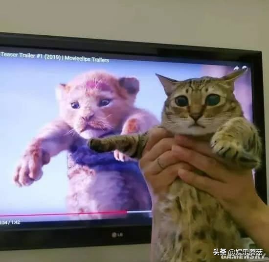 《狮子王》成年度面瘫巨制，但真有那么差吗？