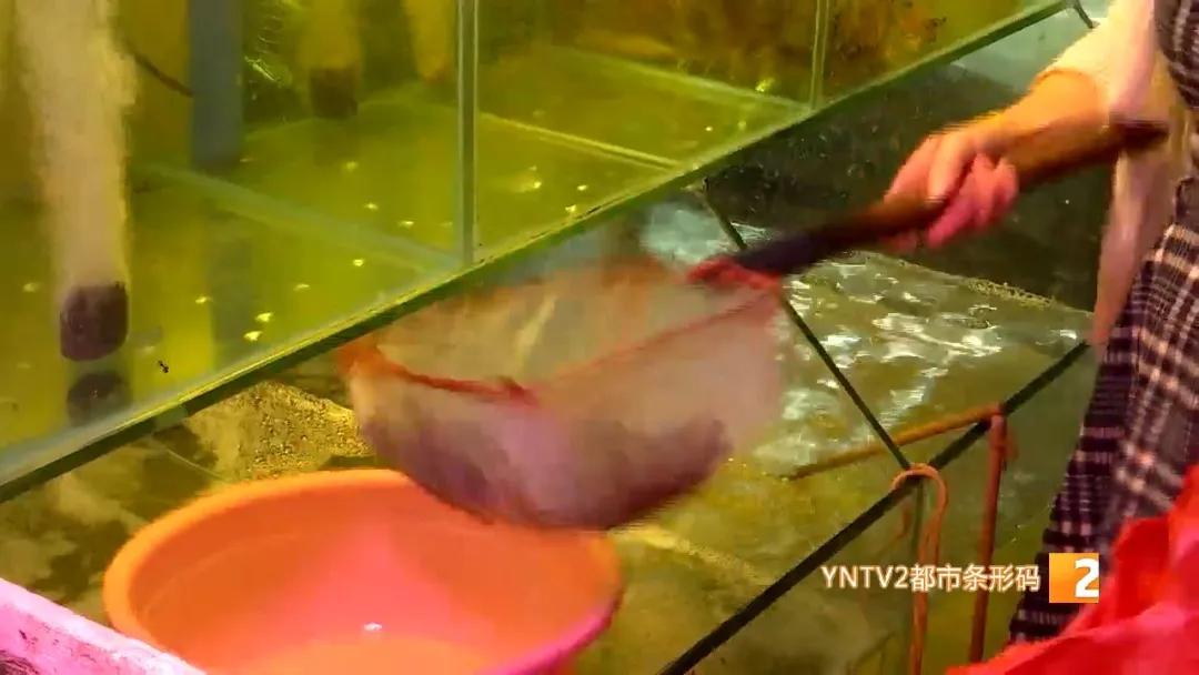 日本核废水排海后海鲜能放心吃吗,海鲜还能吃吗官方回应