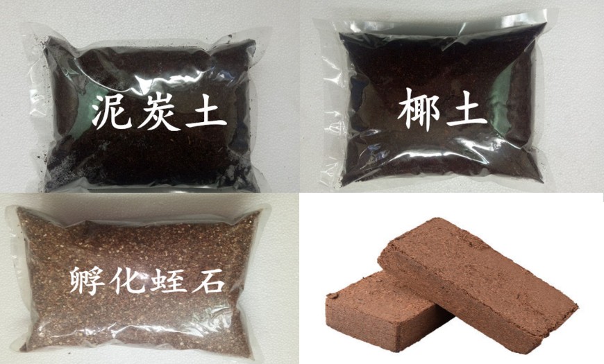 捕鸟蛛饲养条件,捕鸟蛛饲养事项