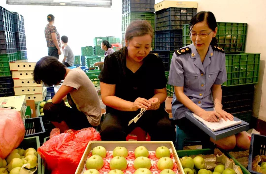 种植优质农产品如何推广,想把农产品卖好怎么办