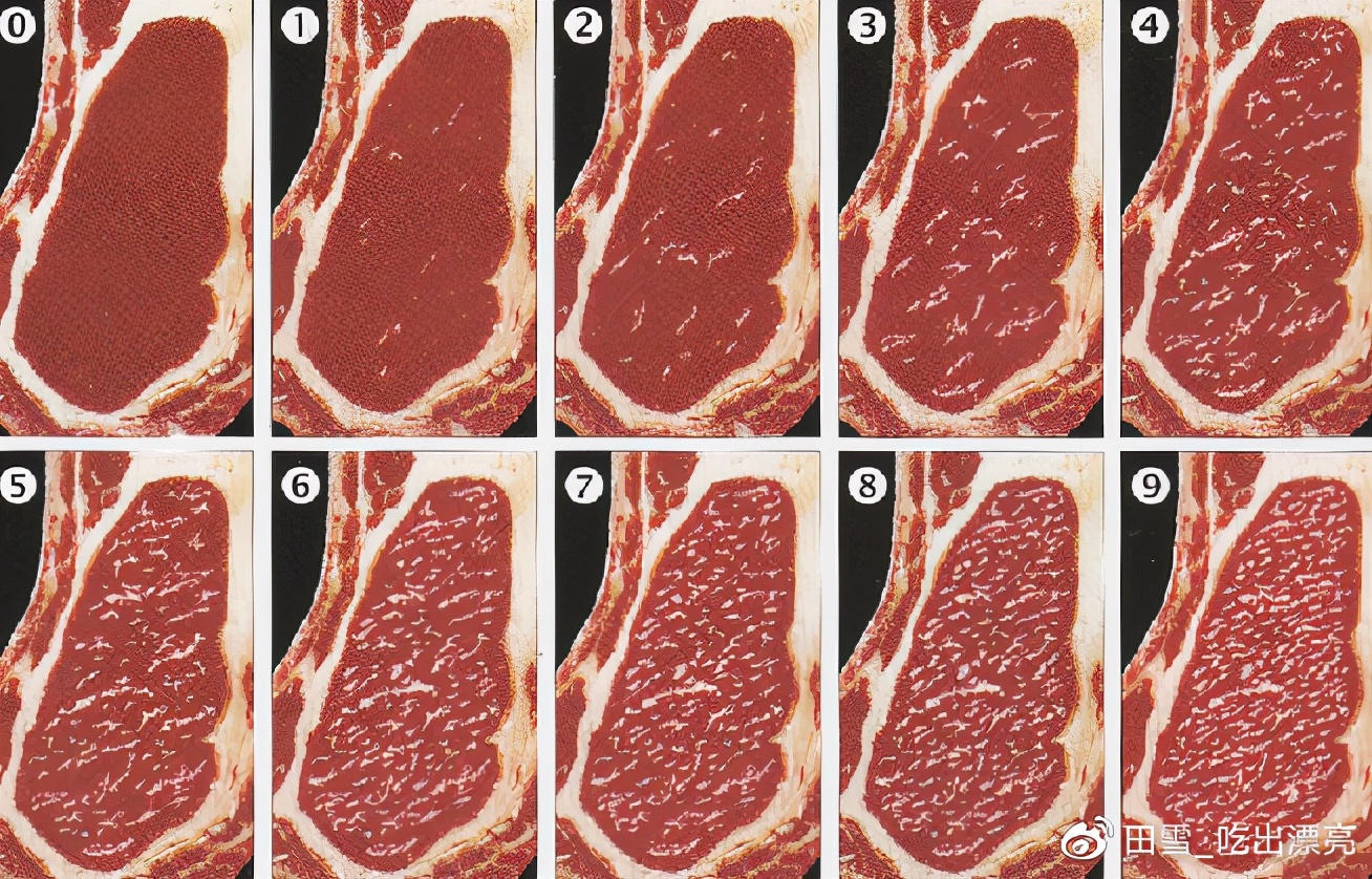 牛肉先锋|挑选好牛肉的锦囊妙计,“庖丁解牛”了解一下
