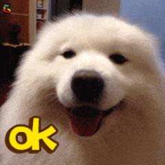 【惊恐】9岁女童误服硫酸入院抢救,儿童误服腐蚀性液体怎么办?【呱呱教·155】