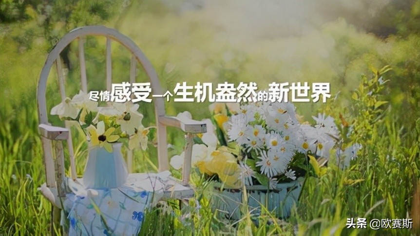 鍝佺墝鎴樼暐宸ュ叿,鍝佺墝鎴樼暐涓冪姝﹀櫒