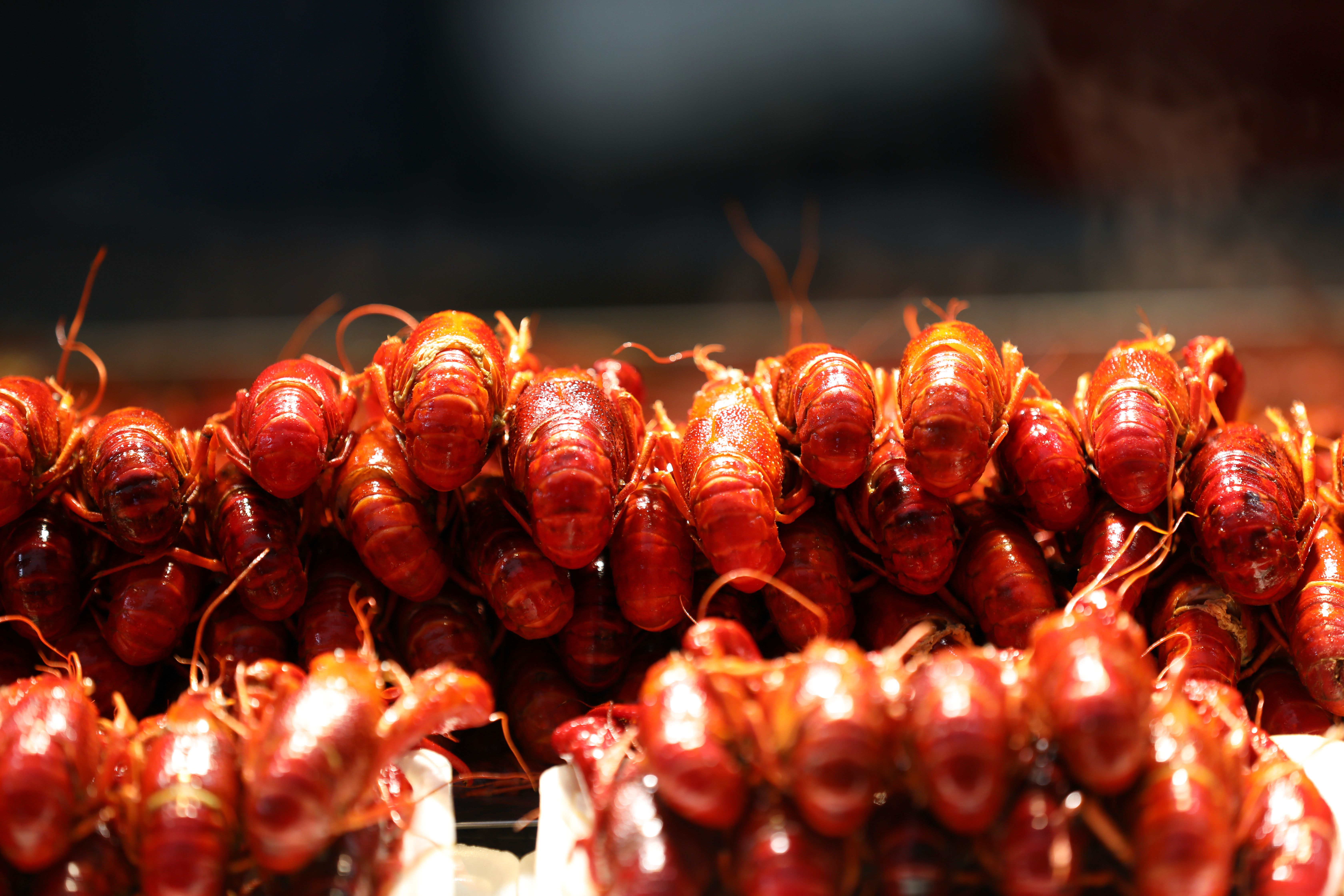 唐山有哪些特别之处,唐山什么好玩