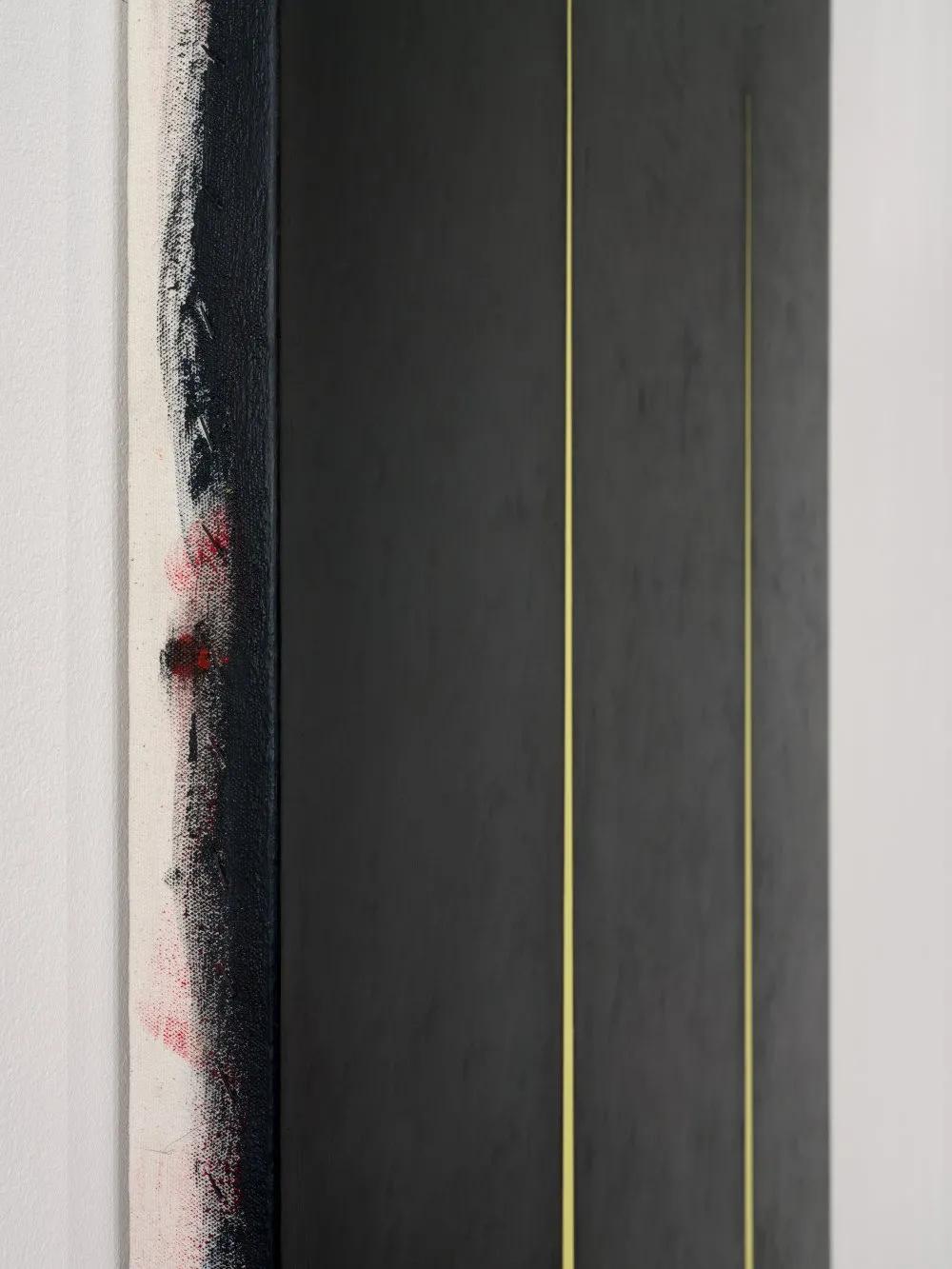 安·埃德霍姆:保持在抽象和叙事之间的矛盾状态