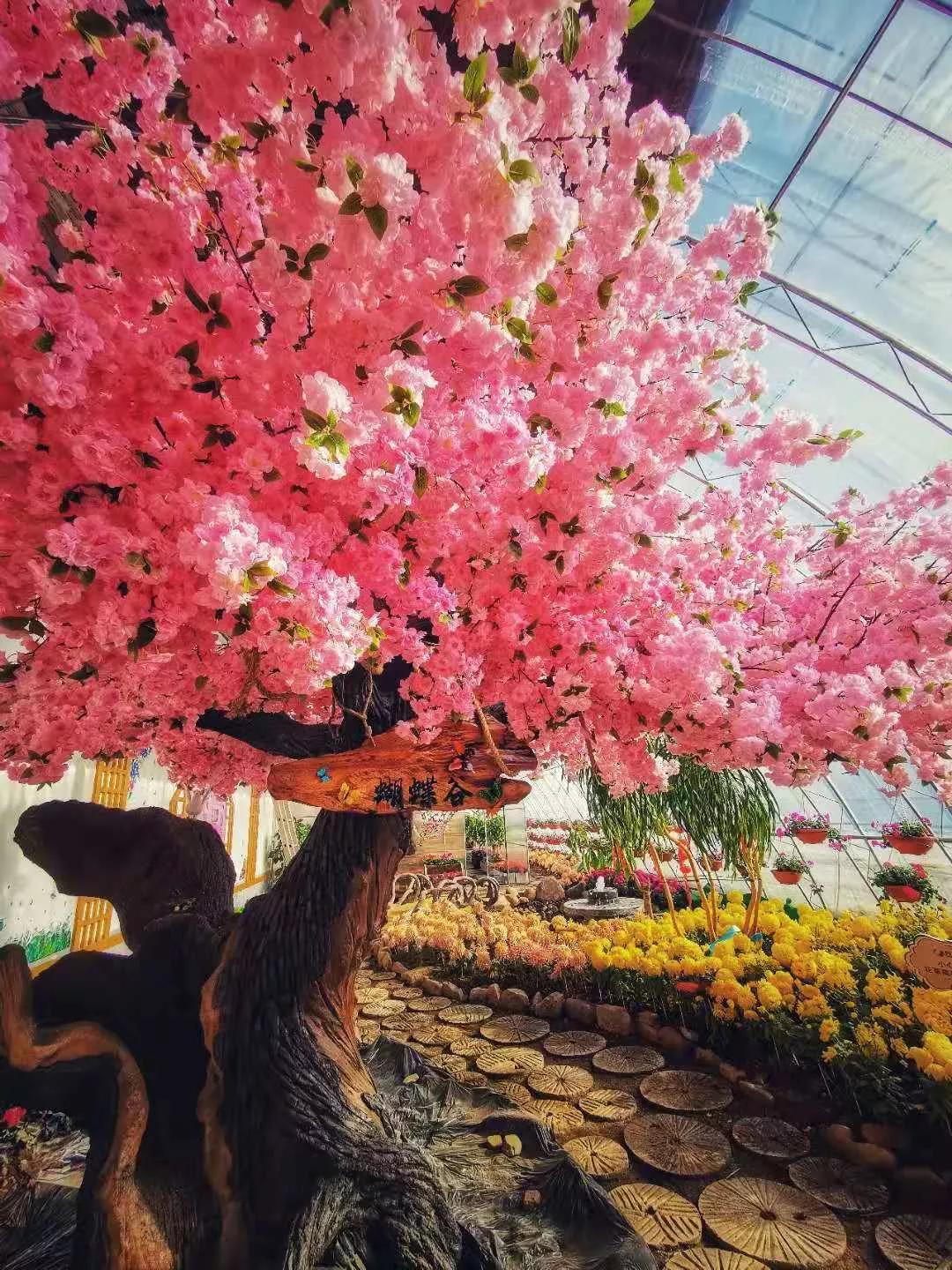 吉林延边旅游攻略,吉林延边旅游攻略亲子游