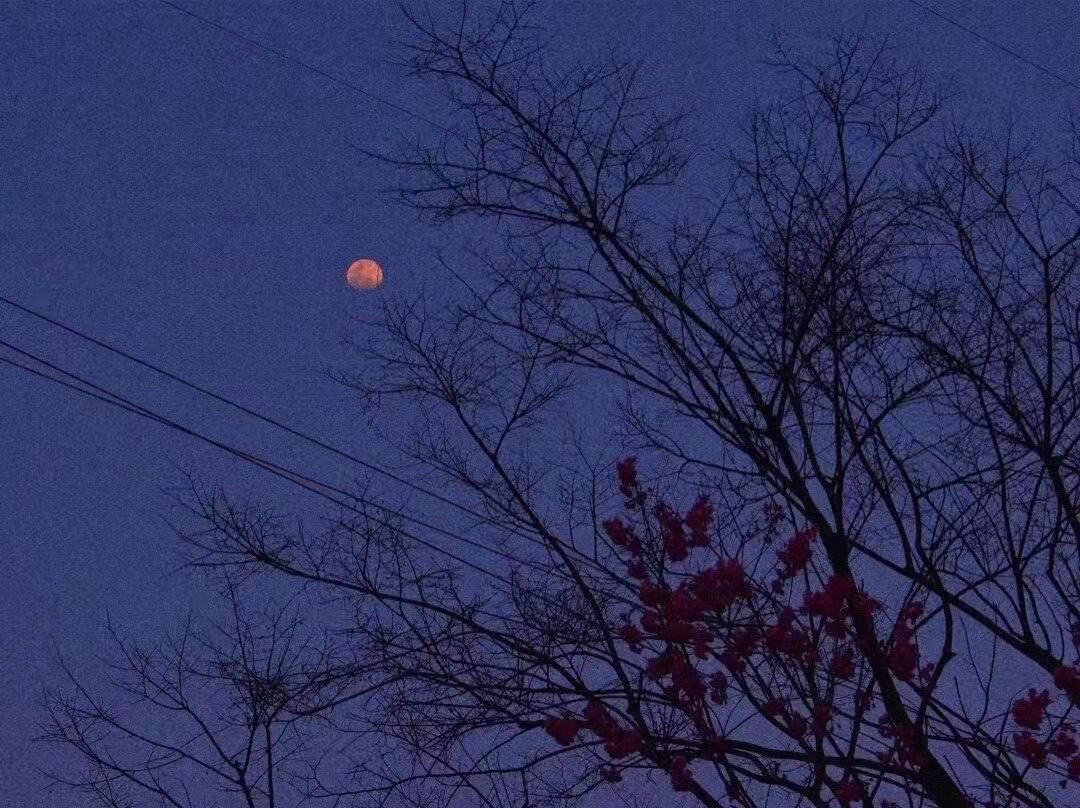 孤独且清醒的文案,人间清醒的高级感小众文案