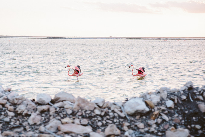 墨西哥玛雅遗址之旅,玛雅奇迹墨西哥之旅
