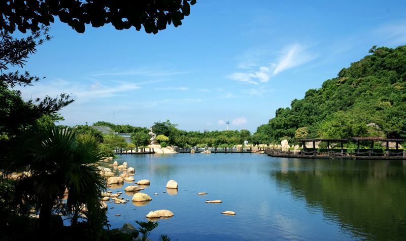 珠海石博园奇石在哪里,石博园精品奇石展示