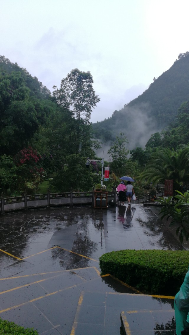 鑵惧啿鐑捣娉℃尽,鑵惧啿鐙竴鏃犱簩鐑捣