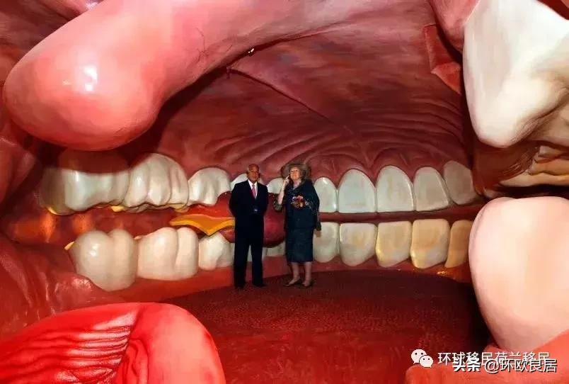 莱顿是荷兰的教育中心吗,莱顿在荷兰知名度