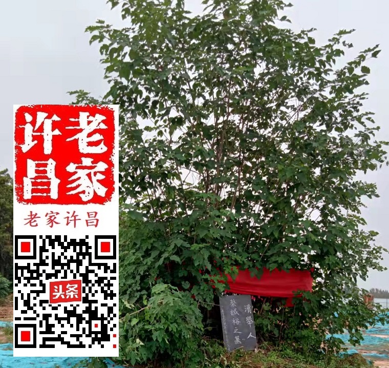 清末许昌形成了比较完整的教育体系,跟这位老夫子有关