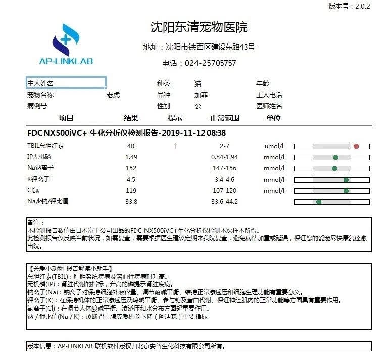 猫咪黄疸严重还能救吗,猫咪黄疸肝炎治好要花多少钱