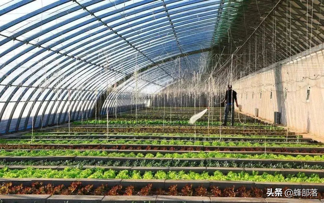 农村做什么生意赚钱创业项目,农村在家可以赚钱的项目有哪些