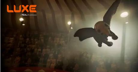 电影观影活动招募,观影招募公告