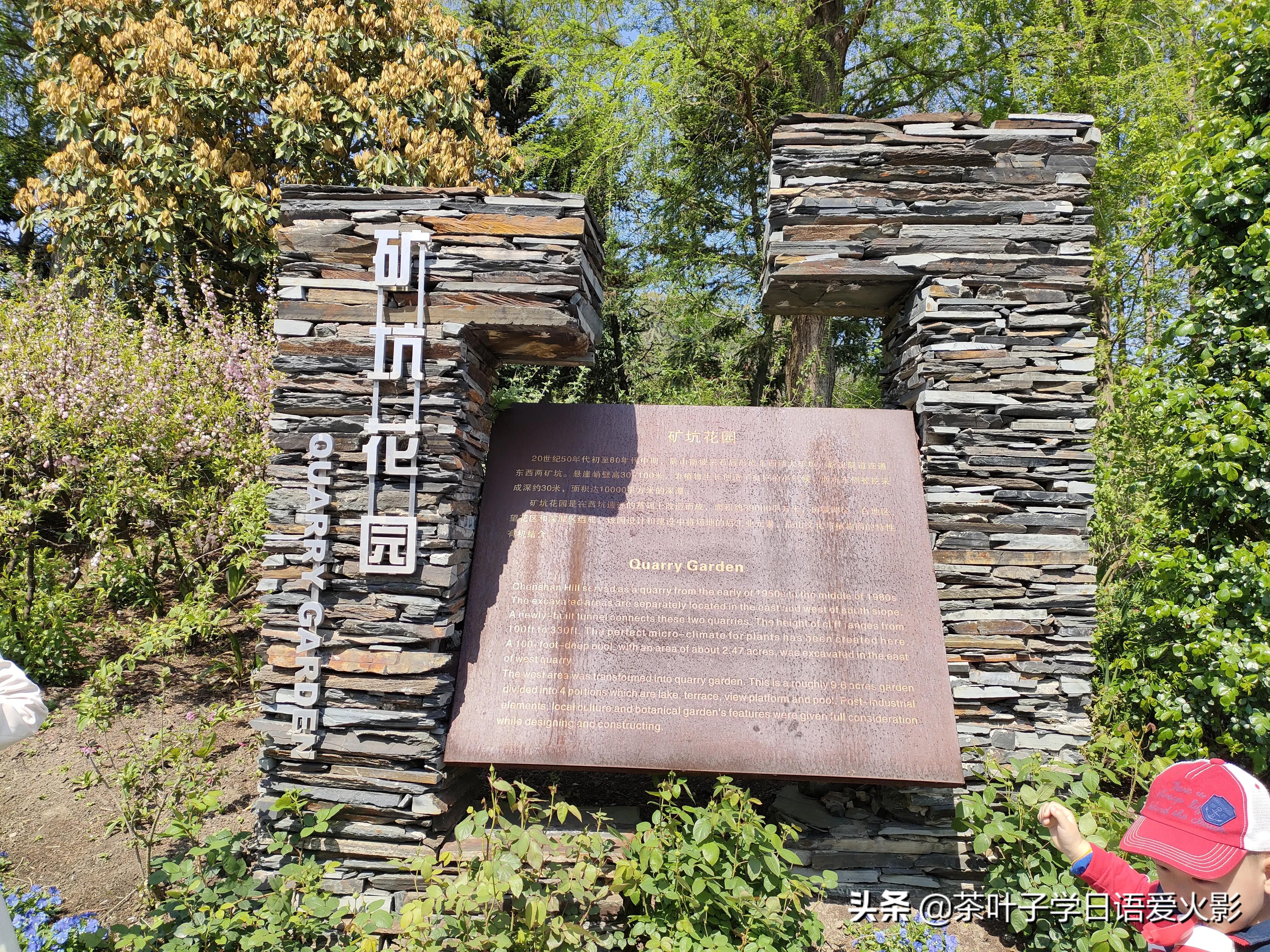 春天踏青适合去哪里玩,春天去上海辰山植物园攻略