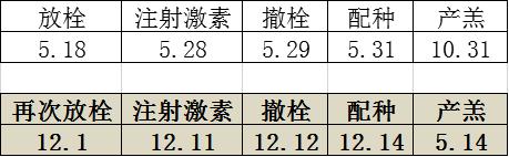 羊的养羊技术,内蒙草场养殖羊技术要点