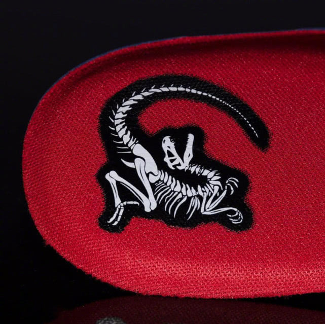 伦纳德离开猛龙几率大吗,伦纳德离开伊巴卡