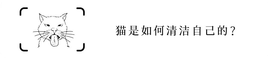 孩子膀胱容量130,儿童最大膀胱容量197正常吗