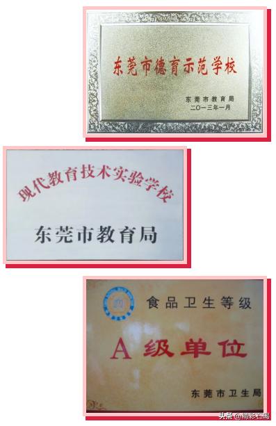 2018年广东省东莞市石碣四海学校,东莞市石碣四海之星学校招生