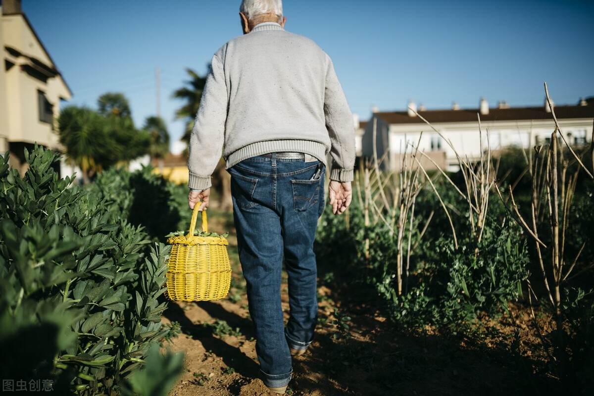 此情可待成追忆，只是当时已惘然——那个弥漫着乡愁的麦香烧饼
