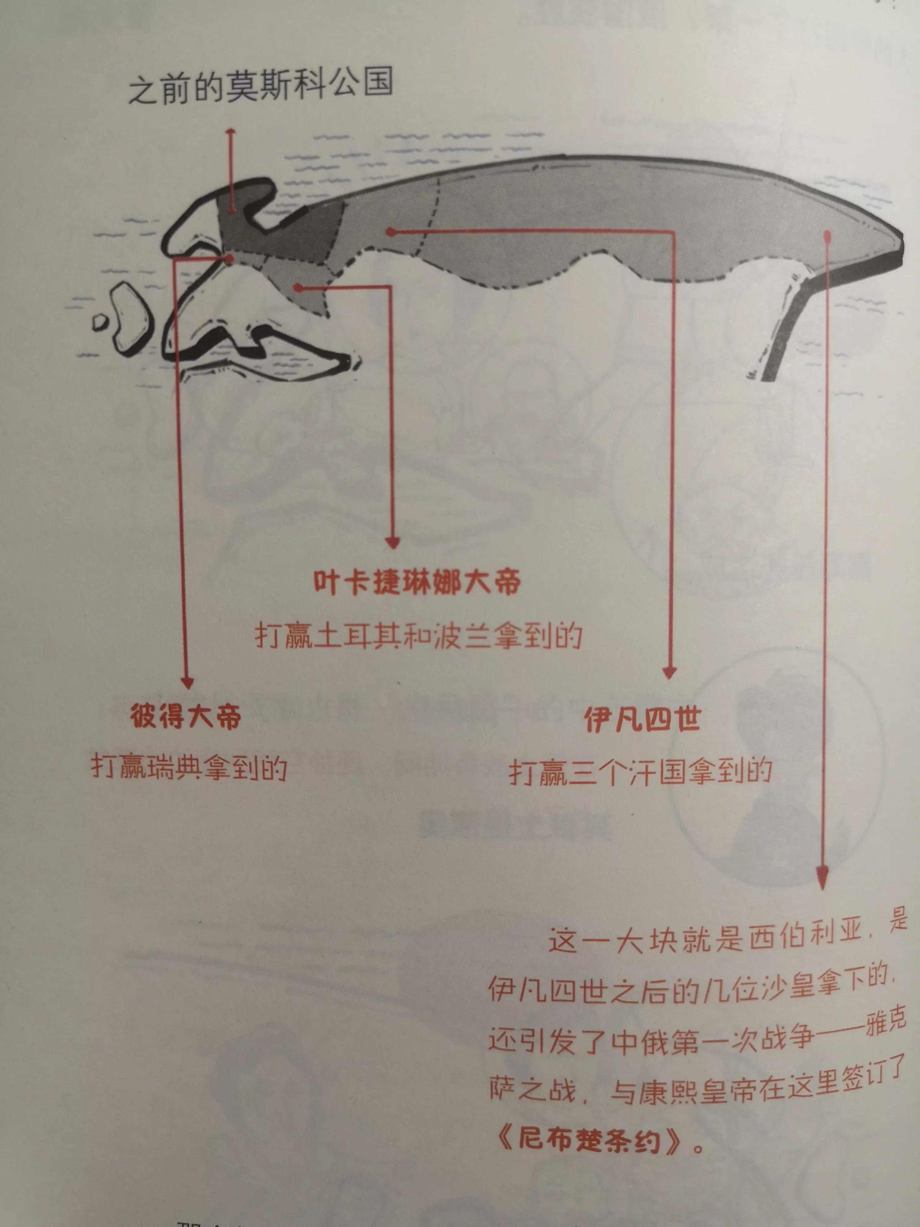 张泉灵历史书,张泉灵发家史