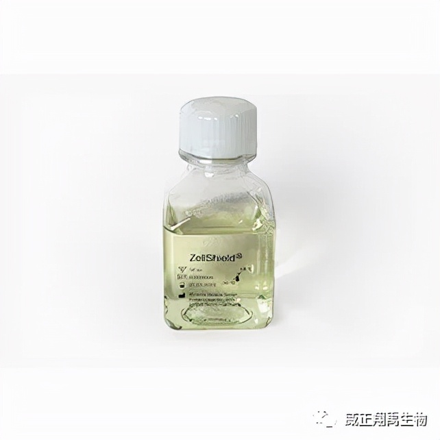 支原体污染怎么处理,支原体污染