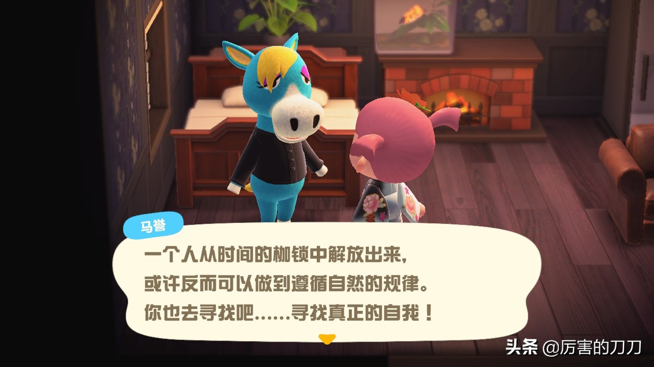 动物森友会三颗星怎么看,游戏动物森友会