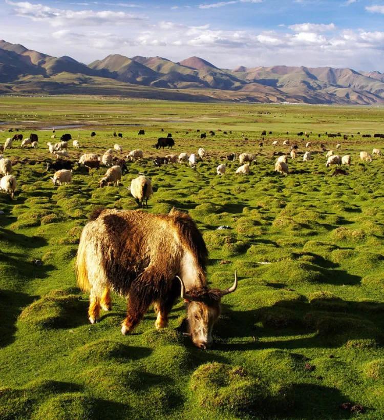 矿山风云评书大全,矿山风云录第一部